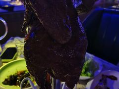 -蝴蝶汇音乐酒馆(罗湖店)