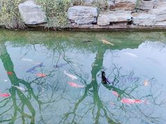 -三里河公园