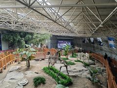 -中国第四纪冰川遗迹陈列馆