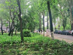 -吉林大学(南岭校区)