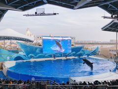 -上海海昌海洋公园