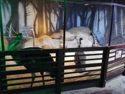 -酷嗒动物文化乐园(cutezoo西溪乐天城店)