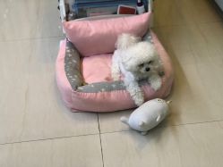 -肌理言健康美肌驻颜所