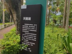 -华侨城湿地公园
