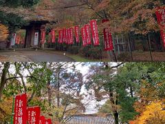 -醍醐寺