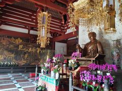 -灵谷景区