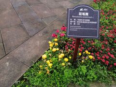 -保利石象湖景区