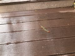 -宁波五龙潭景区