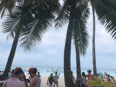 -白沙滩