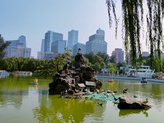 -团结湖公园