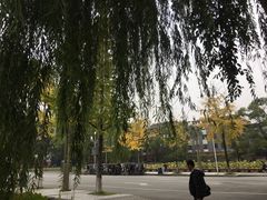 -四川大学(望江校区)