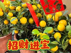 -金汇四季广场