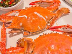 -新连采·海鲜·大连菜(大连恒隆广场店)