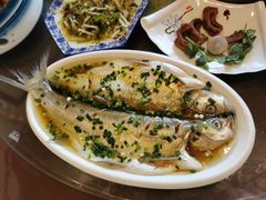 -呼吸森林·生态农庄农家乐私房菜