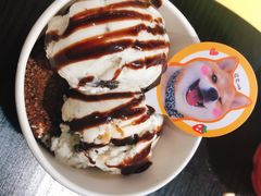 -逗柴咖啡屋·狗咖猫咖宠物桌游
