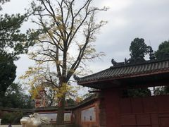 -金堂县云顶石城风景区