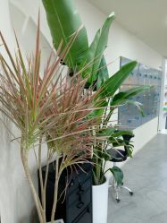 点击看大图 -DX HAIR SALON·发现未知美发沙龙