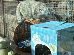 -青藏高原野生动物园