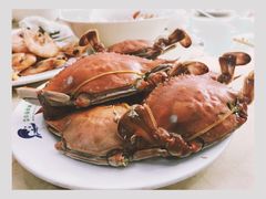 -春华海鲜城(广场西苑店)
