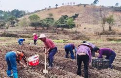 点击看大图 -蓝丝带催乳产康产后恢复中心(殷巷店)