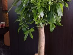 -晴川足道·商务水疗SPA(东郊记忆店)