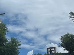 -洱海月湿地公园