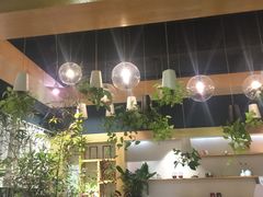 -柴务处·柴犬主题狗咖