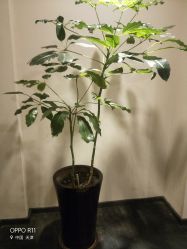 -盘子女人坊古装写真摄影(天津总店)