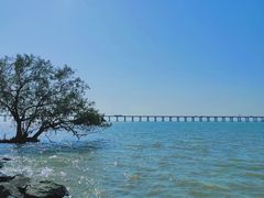 -宝安西湾红树林湿地公园