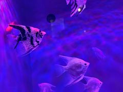 -多彩贵州城极地海洋世界