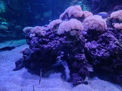 -长沙海底世界