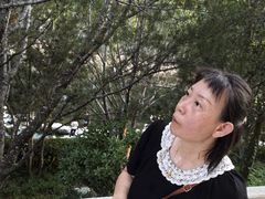 -解放阁