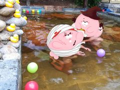 -崇阳三特浪口温泉