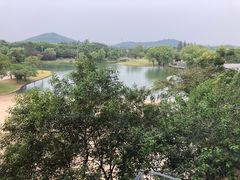 -上海佘山世茂艾美酒店