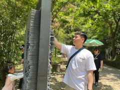 -龙湾潭国家森林公园