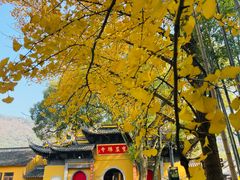 -宝岩生态观光园