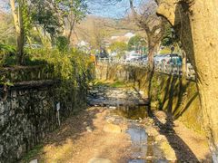 -春娟茶楼·地道农家菜(梅家坞店)