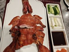 宜良小刀鸭-福照楼汽锅鸡·云南特色菜(火车站锦江店)