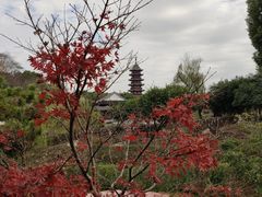 -盘门景区