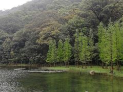 -广州市石门国家森林公园
