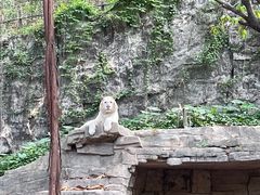 -广州长隆野生动物世界