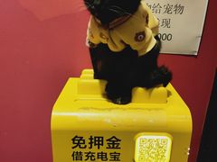 -猫色咖啡·猫咖