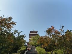 -思念果岭悦温泉