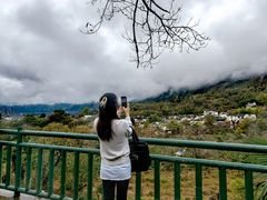 -塔川景区