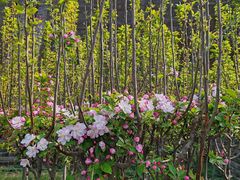 -石家庄正定国际机场-T2航站楼