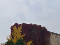 -辽宁大学(崇山校区)