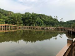 -神光山国家森林公园