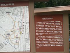 -菊花台公园