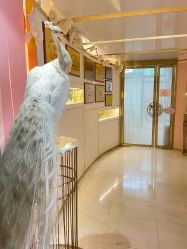 -英芬国际月子中心(岛屿度假月子·洲至奢选香岚店)