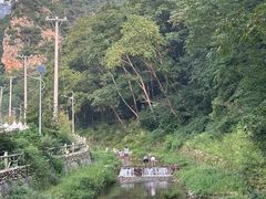 -大连冰峪旅游度假区